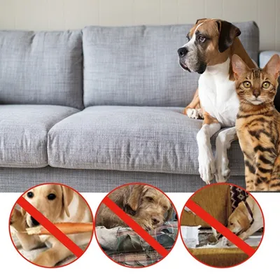 ZooVenture Spray anti-morsures pour chats et chiens