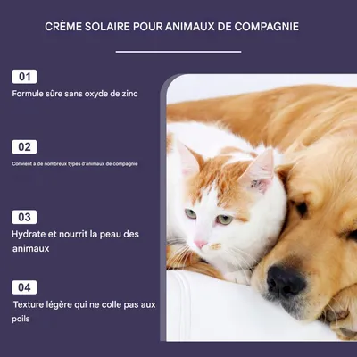 ZooVenture Spray solaire pour chien et chat