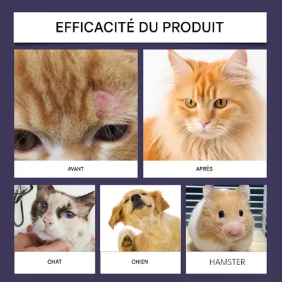 ZooVenture Spray solaire pour chien et chat