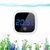 ZooVenture Thermomètre mini aquarium pour tortue tropical