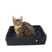 ZooVenture Faltbare und tragbare Katzentoilette