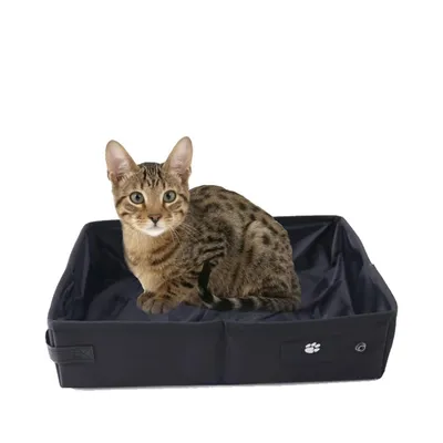 ZooVenture Faltbare und tragbare Katzentoilette ZooVenture Faltbare und tragbare Katzentoilette