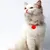 Zoomtopia Collier anti-étouffement pour chat