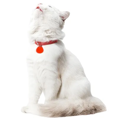 Zoomtopia Collier anti-étouffement pour chat
