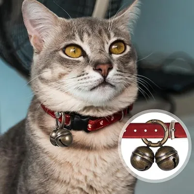 ZooVenture Set de 2 cloches en cuivre pour chiens et chats