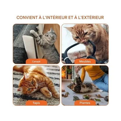 Zoomtopia Spray répulsif pour chats 100 ml