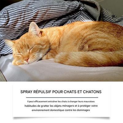 Zoomtopia Spray répulsif pour chats 100 ml