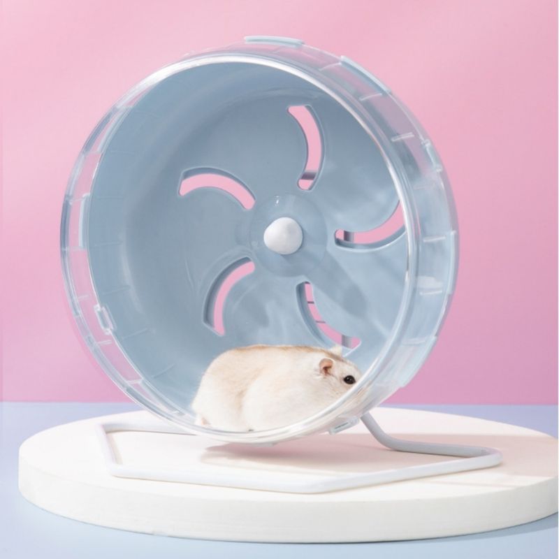 ZooVenture Roue d'exercice pour petits animaux