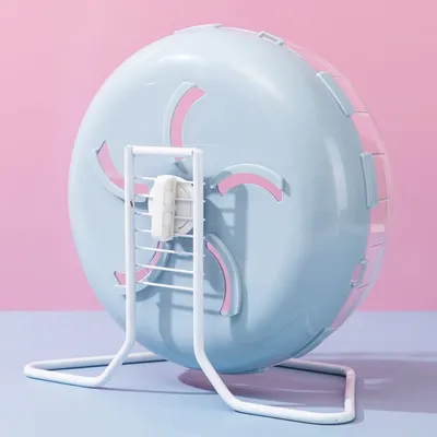 ZooVenture Roue d'exercice pour petits animaux