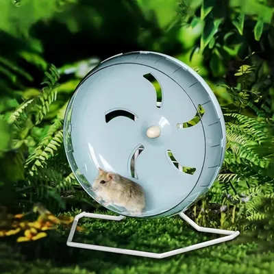 ZooVenture Roue d'exercice pour petits animaux