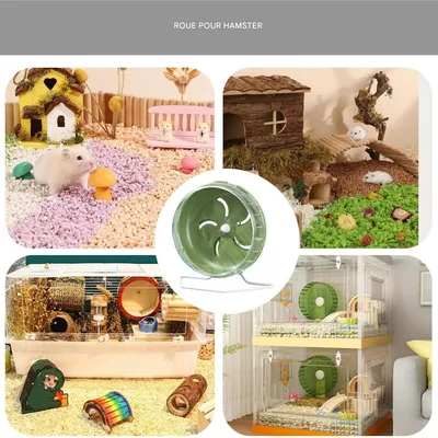 ZooVenture Roue d'exercice pour petits animaux