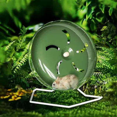 ZooVenture Roue d'exercice pour petits animaux