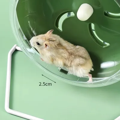 ZooVenture Roue d'exercice pour petits animaux