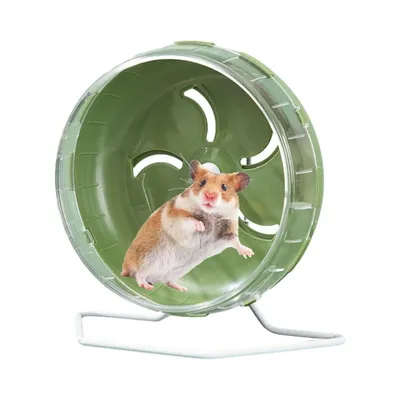 ZooVenture Roue d'exercice pour petits animaux