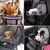 ZooVenture Housse de siège auto pour petit et moyen chien