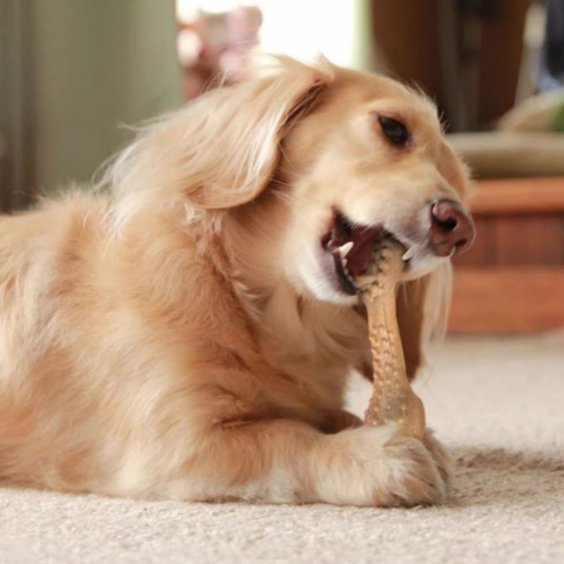 Zoomtopia Jouet à mâcher pour chien en nylon et bois