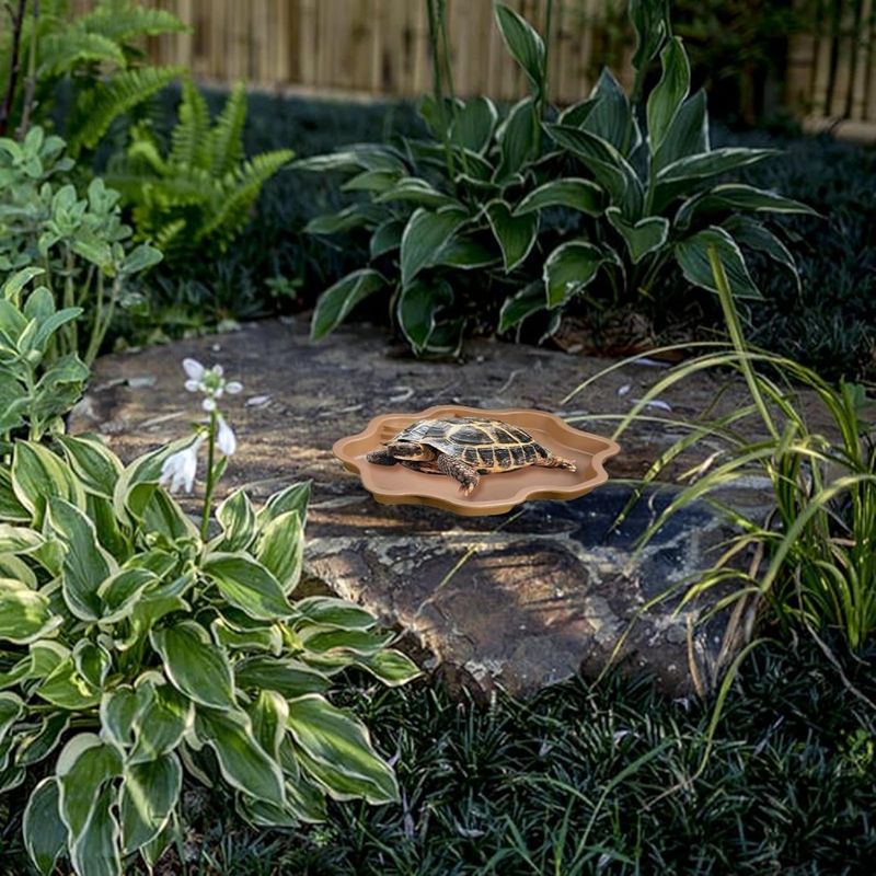 ZooVenture Bac à eau pour reptiles