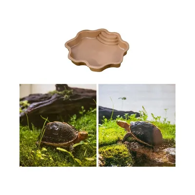 ZooVenture Bac à eau pour reptiles