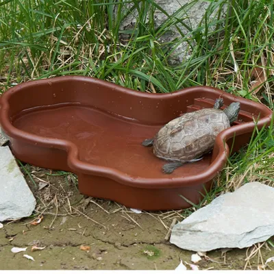 ZooVenture Bac à eau pour reptiles