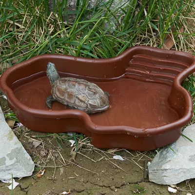 ZooVenture Bac à eau pour reptiles