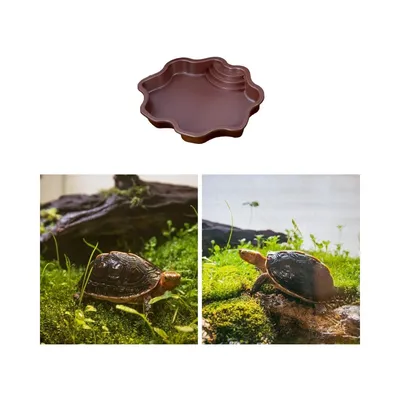 ZooVenture Bac à eau pour reptiles