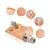 ZooVenture Tunnel pliable pour petits animaux