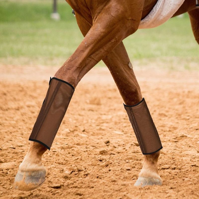 ZooVenture Ensembles de bottes anti - mouches en maille pour chevaux