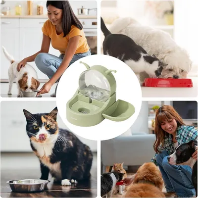 ZooVenture Abreuvoir automatique pour chat