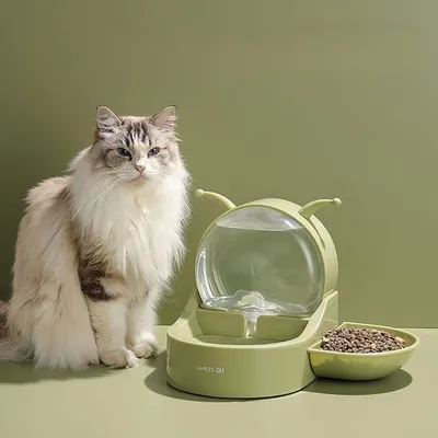 ZooVenture Abreuvoir automatique pour chat