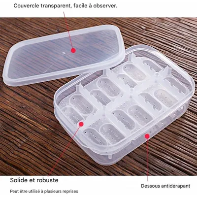 ZooVenture Boîte d'incubation pour reptiles