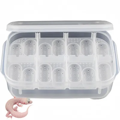 ZooVenture Boîte d'incubation pour reptiles ZooVenture Boîte d'incubation pour reptiles