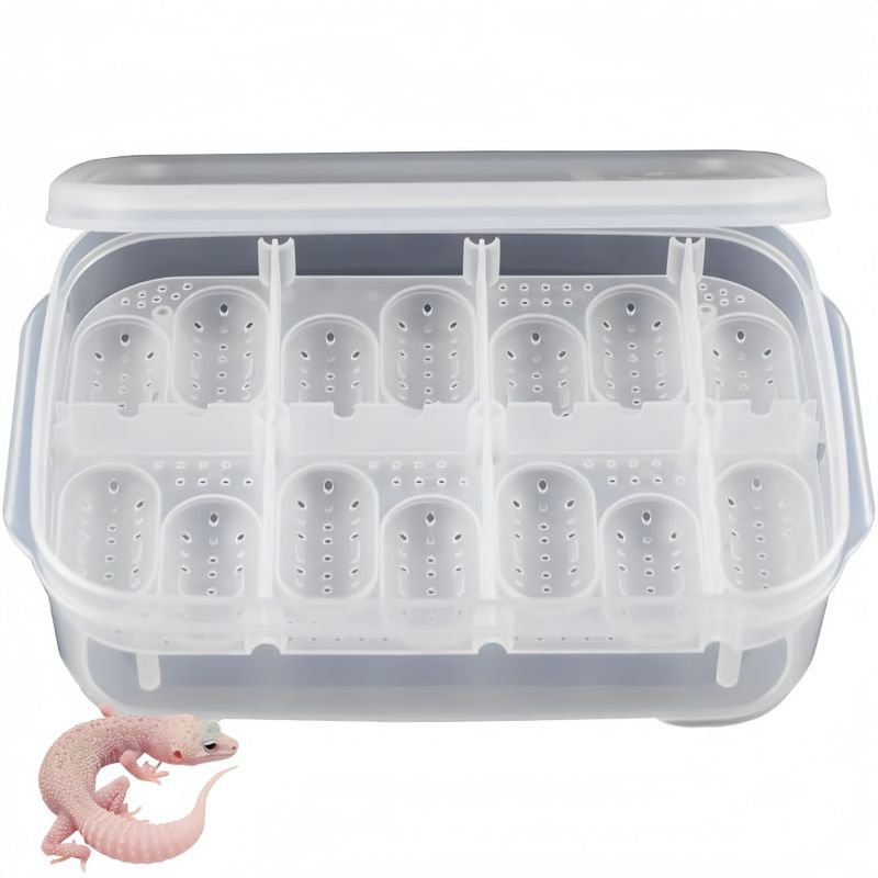 ZooVenture Boîte d'incubation pour reptiles