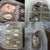 ZooVenture Boîte d'incubation pour reptiles