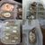 ZooVenture Boîte d'incubation pour reptiles