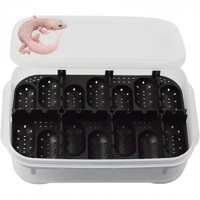 ZooVenture Boîte d'incubation pour reptiles