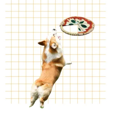ZooVenture Disque volant en forme de pizza pour chien