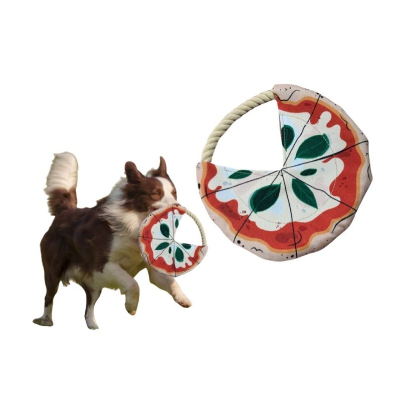 ZooVenture Disque volant en forme de pizza pour chien