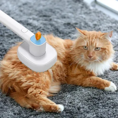 Zoomtopia Brosse à vapeur pour animaux