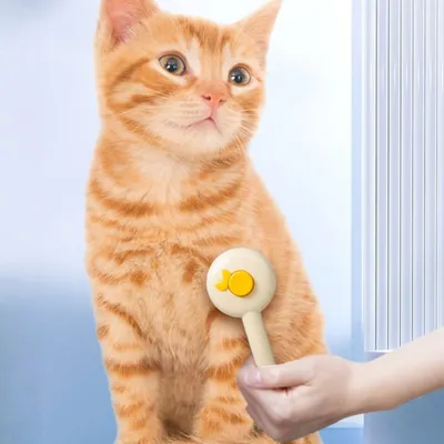 Zoomtopia Brosse pour chat et chien