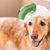 ZooVenture Lot de brosses de bain pour chien et chat
