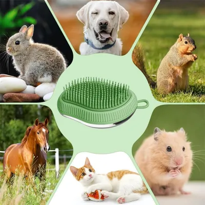 ZooVenture Lot de brosses de bain pour chien et chat