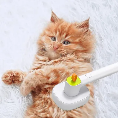 Zoomtopia Brosse à vapeur pour animaux