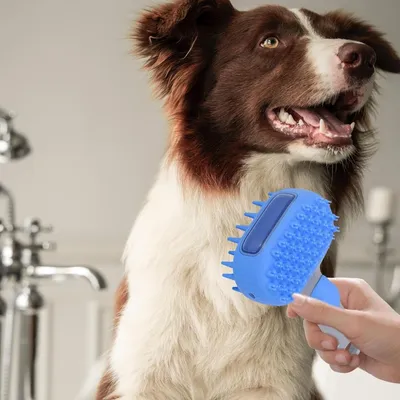 Zoomtopia Brosse à vapeur pour chien