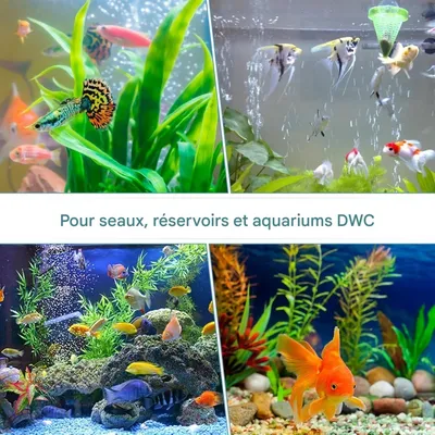 ZooVenture Cylindre Diffuseur De Bulles Pour Aquarium Lot De 10 Pièces