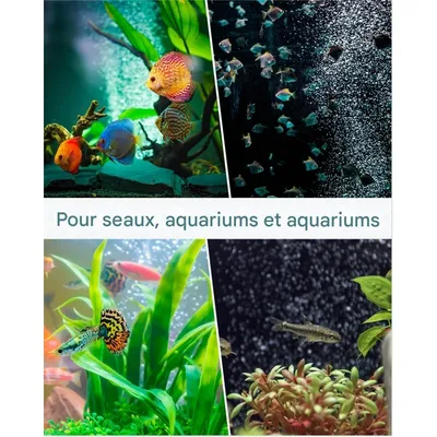 ZooVenture Diffuseur De Microbulles En Barre D'Air 8 Pouces Pour Aquarium