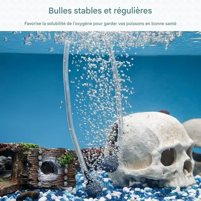 ZooVenture Boule Diffuseur De Bulles D'air Pour Aquarium Lot De 10 Pièces