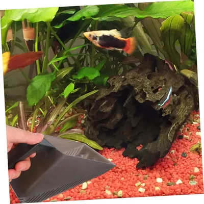 Zoomtopia Pelle à aquarium