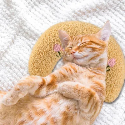 ZooVenture Coussin pour chat et chien