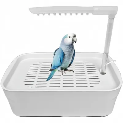 ZooVenture Baignoire Automatique Multifonction Pour Oiseaux