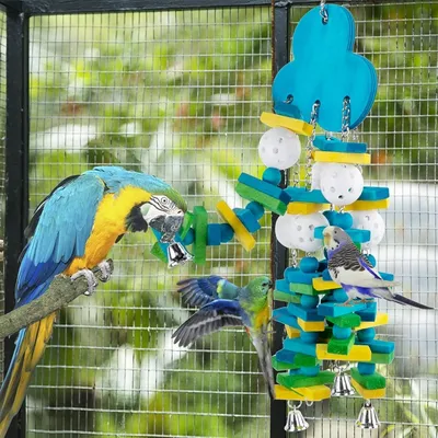 ZooVenture Jouet pour grands oiseaux